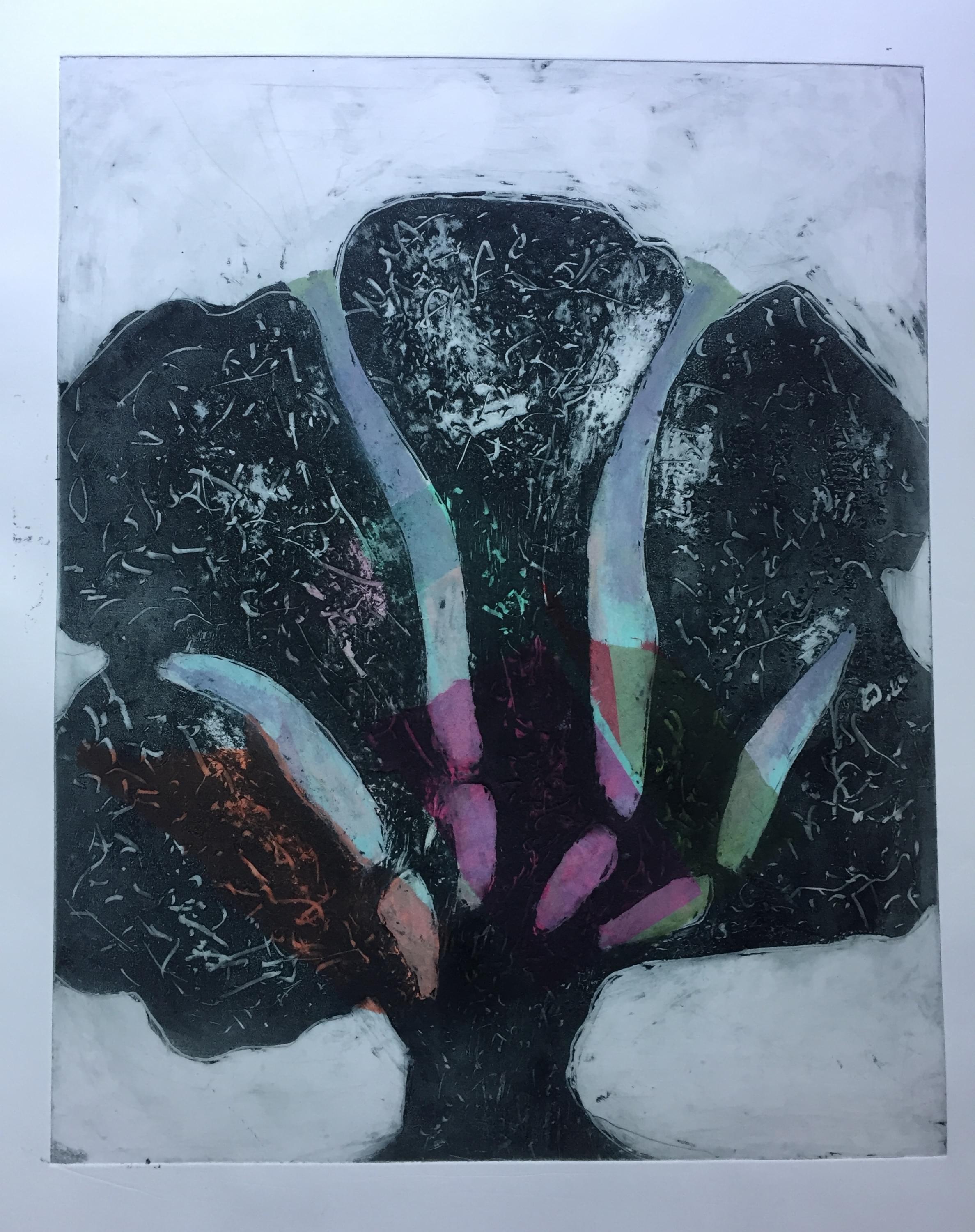 Melissa Strawser, 4th Generation Woman Artist, Intaglio Printmaking Artist, Strawser Studio